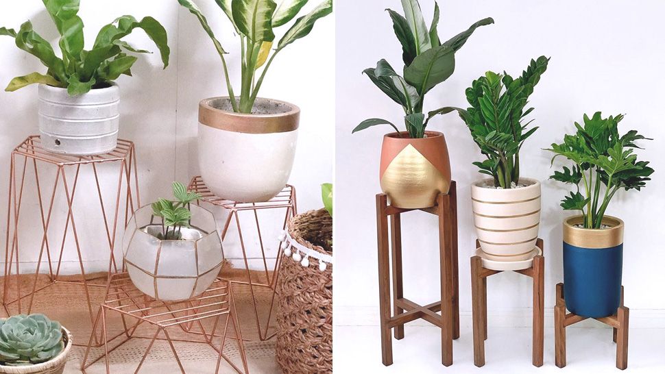 The Future Of Metal Plant Stand